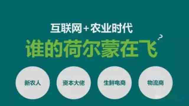 1-1.jpg 1490858581834171.jpg